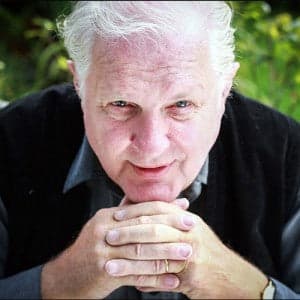 Otto de Bruijne