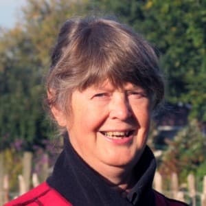 Sandra Oosterveen