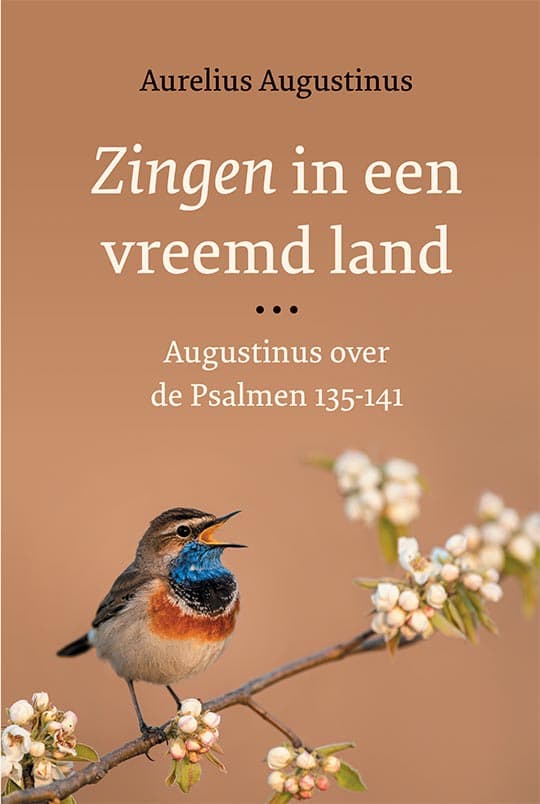 Zingen in een vreemd land